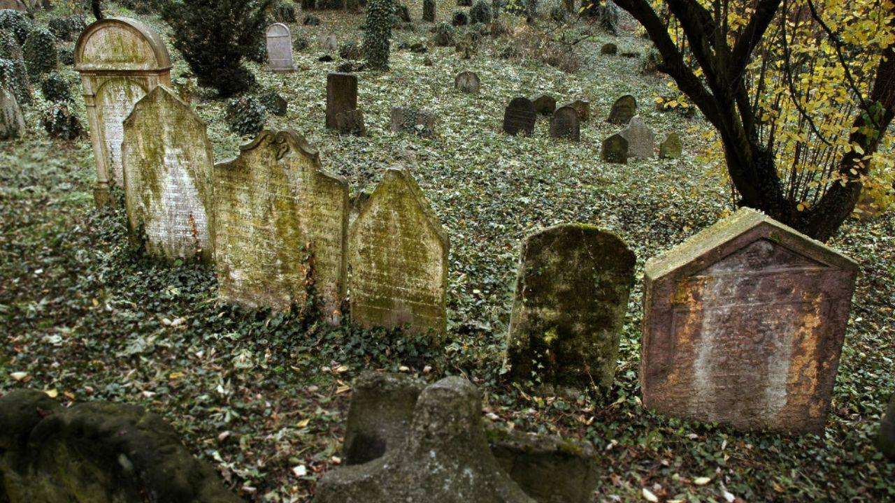 Procházka historií: Starý židovský hřbitov / dopoledne